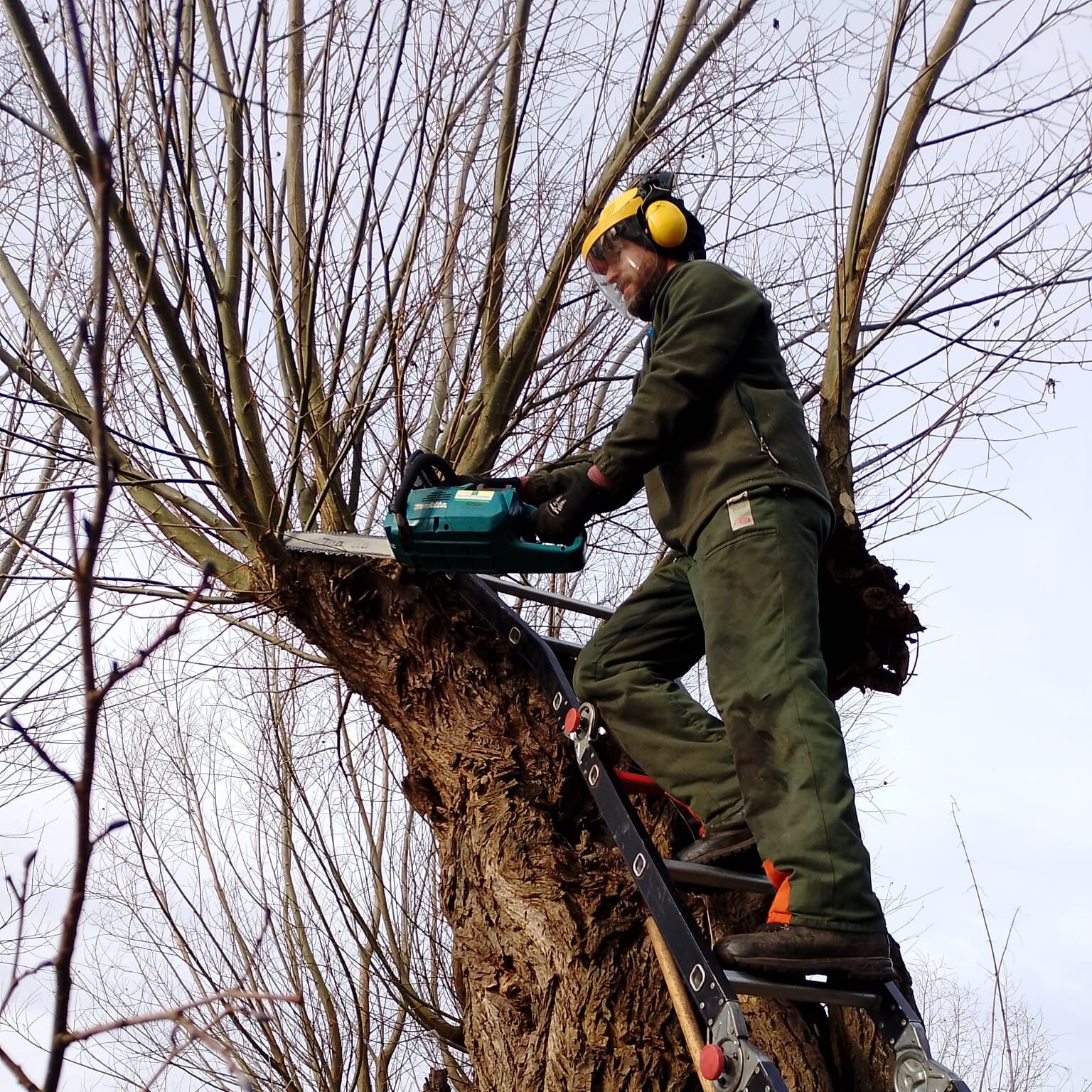 Allround hovenier