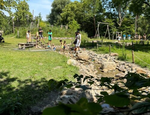 Aanleg Beekloop Waterspeeltuin Tanthof