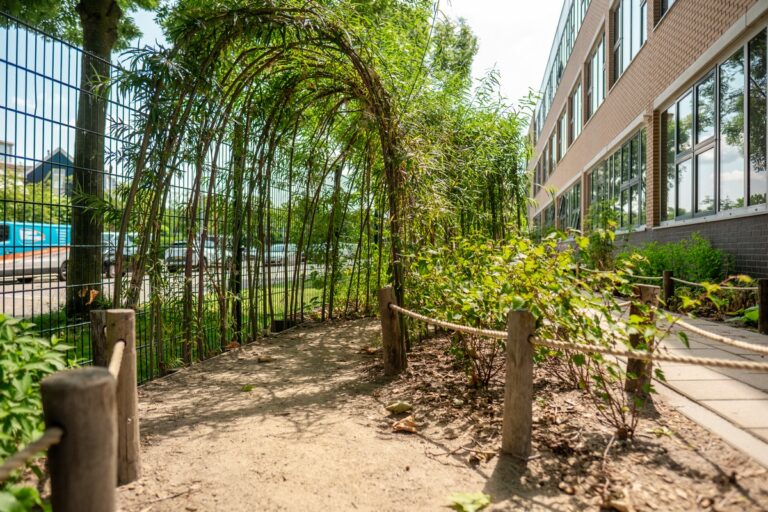 Kleuterplein Nord Anglia International School Rotterdam 4