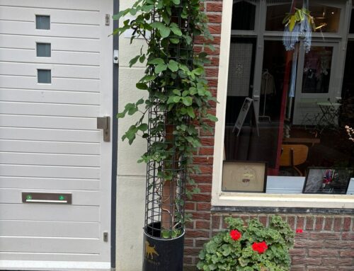 Vergroenen Gouda