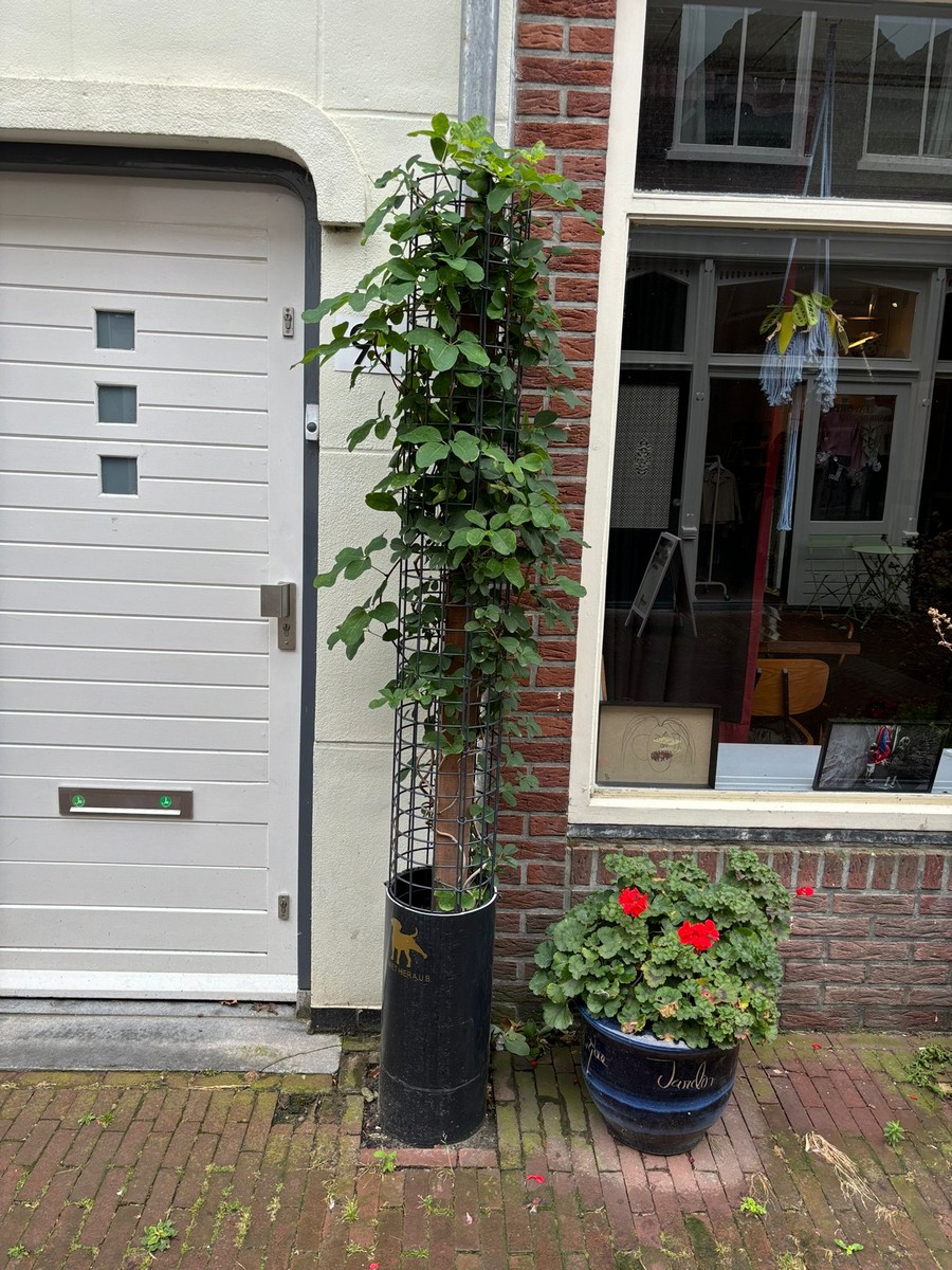 Grijs wordt Groen Gouda 4
