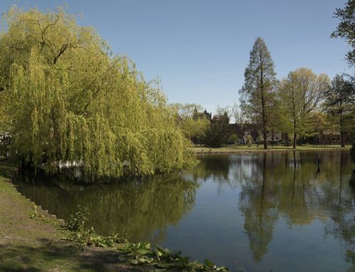 Herinrichting Van Bergen IJzendoornpark