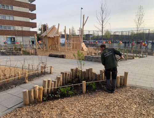 Groenblauw Schoolplein Nesselande