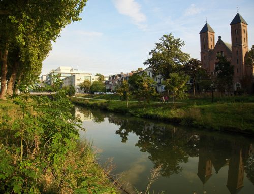Vergroening Stadsbuitengracht Utrecht