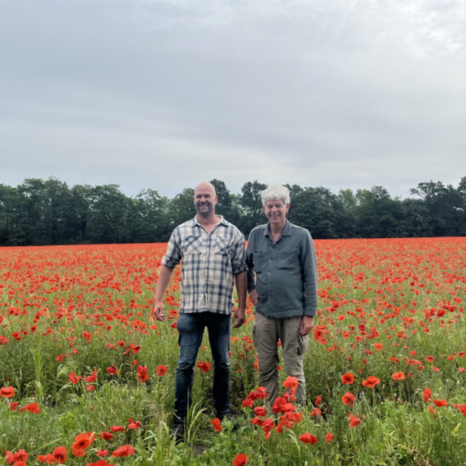 vacature allrounder zadenwerkplaats vierkant