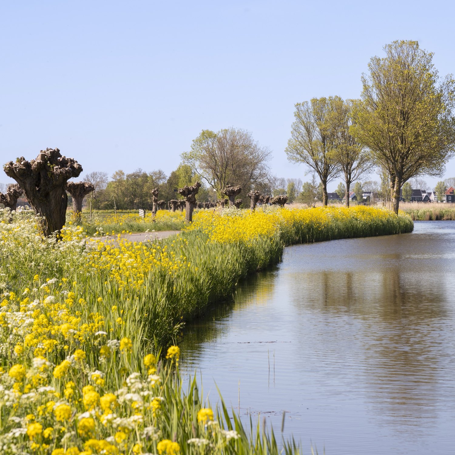 vacature marketeer oever vierkant